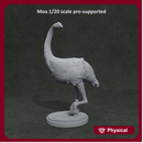 Moa turning 1-20 scale prehistoric bird