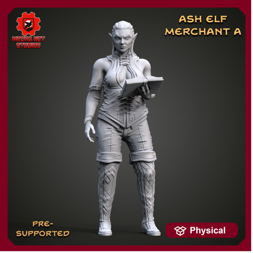 Ash Elf Merchant A - Only-Games
