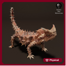 Thorny Devil