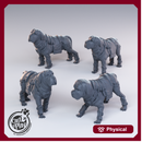 Bandit Mastiffs