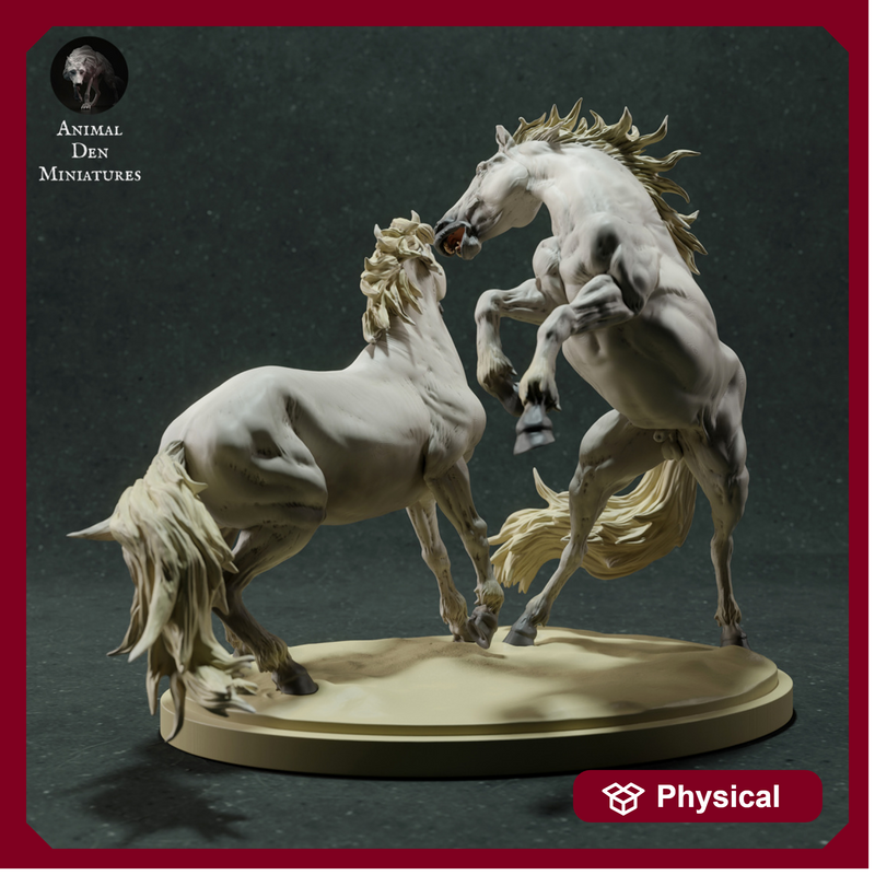 Camargue Horses Fight 1/16