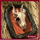 DRAGON SKULL FRAMED DECOR