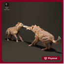 Spotted Hyenas 1/43