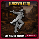 Sam Winston - Veteran Gunslinger