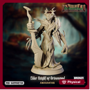 Tales of Grimmwood- Knight of Grimmwood Eldar 1