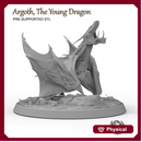 Argoth, the Young Dragon