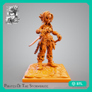 Mimmin - Goblin Pirate - STL only