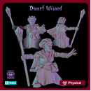 Dwarf Wizard