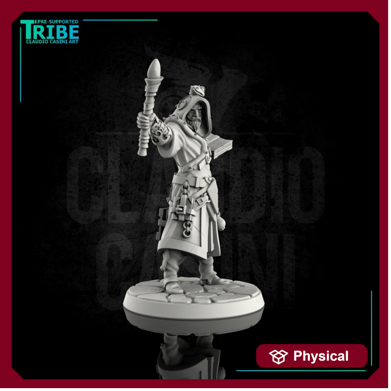 (0001) Male human wizard with familiar
