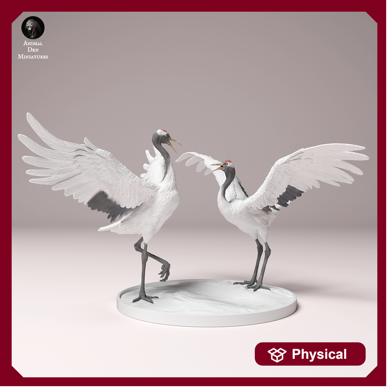 Red-Crowned Cranes Dance 1/87
