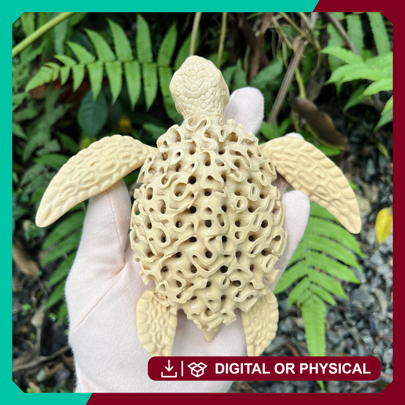 FLEXI CORAL TURTLE – Poseable Standing Turtle