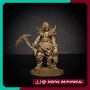Kaleb Anti Chaos Champion