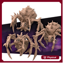 Spiders Pack