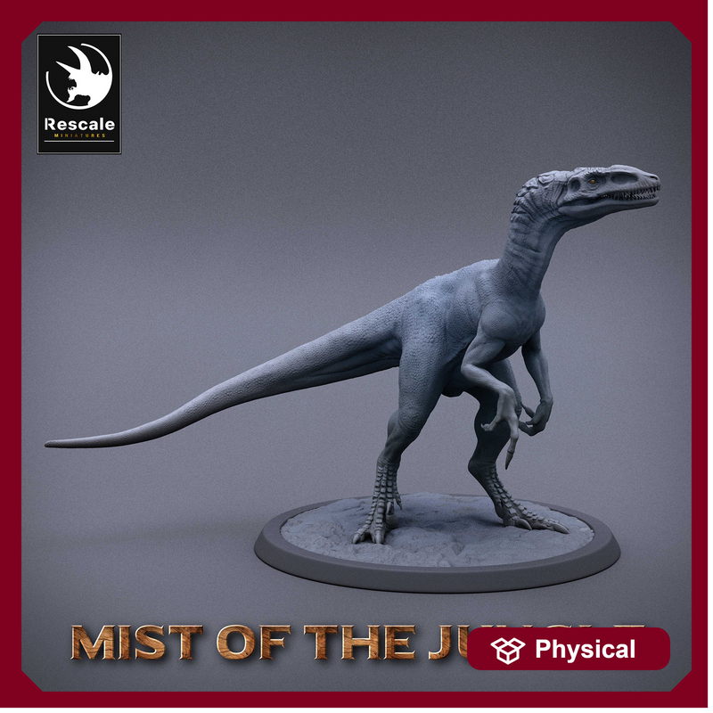 Raptor Walk Wild