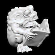 Library Frog - Only-Games