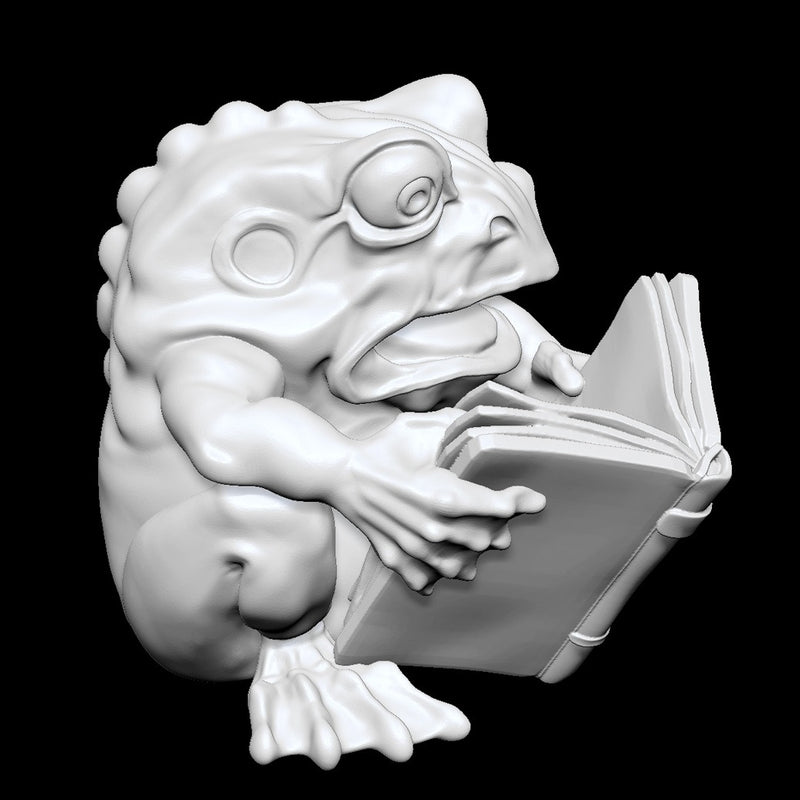 Library Frog - Only-Games