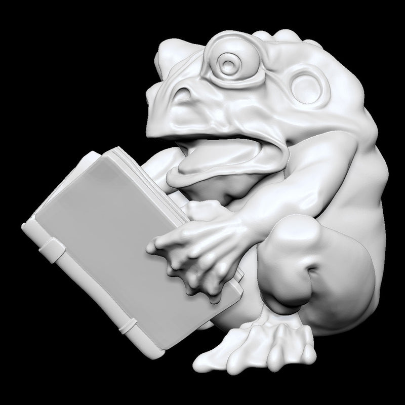 Frog Program Library Library Frog - Studio Sol Union - Miniatures by Only-Games.co