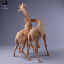Rothschild's Giraffe Fight 1.43 - Only-Games