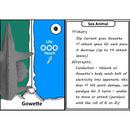 Kilkami Set 06: Sea Animals