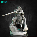 (0271) Female human tiefling firbolg half orc elf warrior paladin fighter with a swords and armor