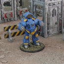 Mechadrome Terran Light Mech Bundle (15mm scale)