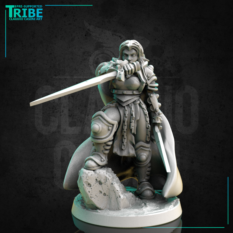 (0271) Female human tiefling firbolg half orc elf warrior paladin fighter with a swords and armor - Only-Games
