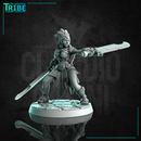 (0296) Female human elf half orc tiefling firbolg shaman  with swords and magic lanterns - Only-Games