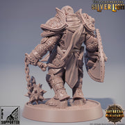 Paladin | Knight Templar | Miniature | Heavy Armor | Dungeons and Dragons |28mm,32m,54mm,75m,100m Scales | Pathfinder | Figure for Painting| - Only-Games