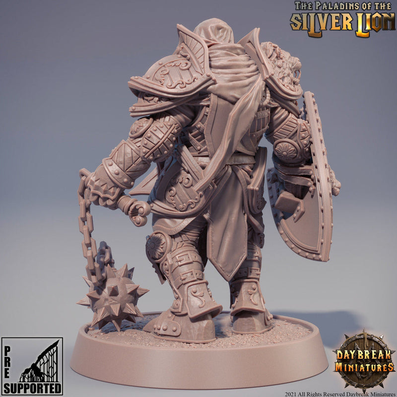 Paladin | Knight Templar | Miniature | Heavy Armor | Dungeons and Dragons |28mm,32m,54mm,75m,100m Scales | Pathfinder | Figure for Painting| - Only-Games