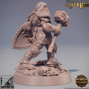 Paladin | Female Paladin  | Miniature | Heavy Armor | Dungeons and Dragons | 28mm Scale | 32mm scale | Pathfinder | D&D | - Only-Games