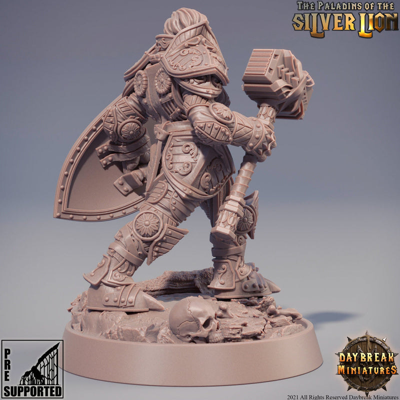 Paladin | Female Paladin  | Miniature | Heavy Armor | Dungeons and Dragons | 28mm Scale | 32mm scale | Pathfinder | D&D | - Only-Games