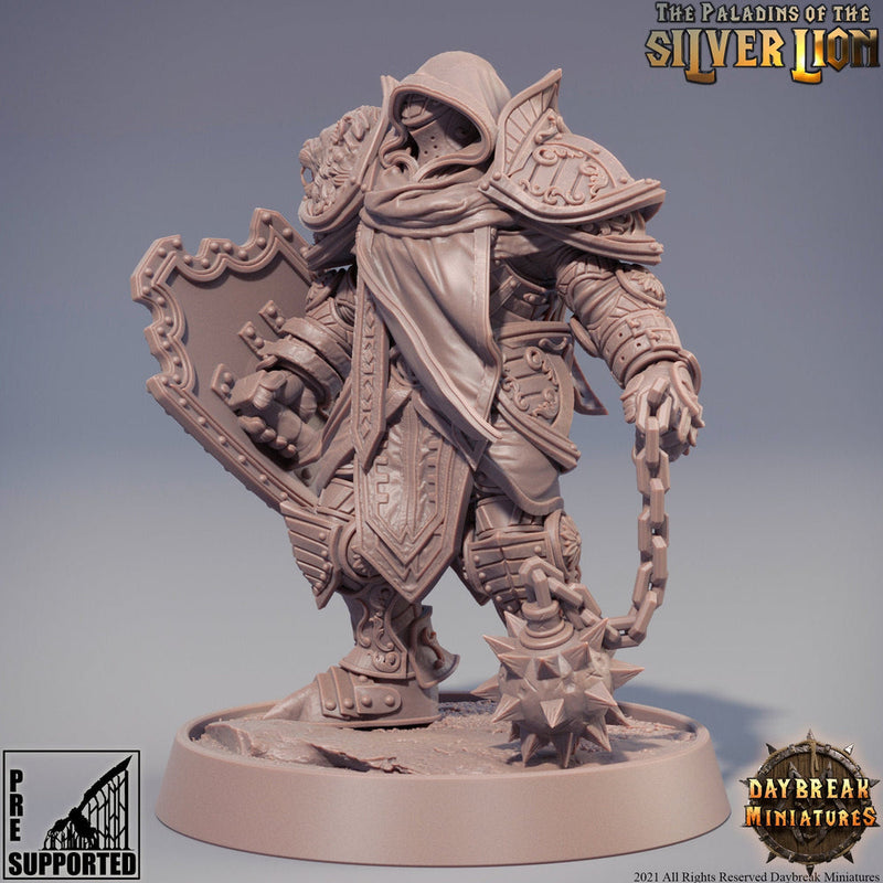 Paladin | Knight Templar | Miniature | Heavy Armor | Dungeons and Dragons |28mm,32m,54mm,75m,100m Scales | Pathfinder | Figure for Painting| - Only-Games