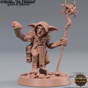 Goblin Wizard Shaman | Miniatures | Dungeons and Dragons | 28mm, 32mm, 75mm scale| Pathfinder | Figure for Painting| Skragrott the Loonking - Only-Games