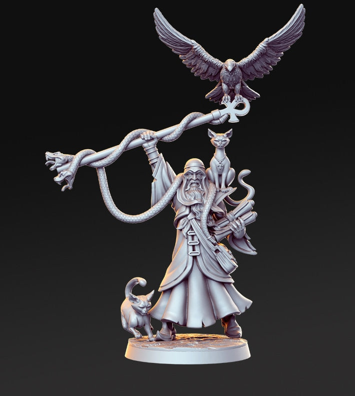 Human Wizard with Familiars and Staff  | 28mm Scale | 32mm Heroic | Minis - D&D,  Dungeons and Dragons- Figurine - Only-Games