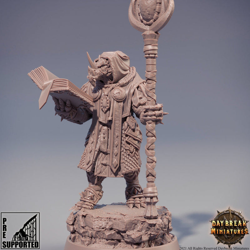 Dragonborn Wizard | PC or NPC model  | 28mm, 32mm, 75mm Scale Resin Miniature | Dungeons and Dragons Miniatures | Pathfinder | - Only-Games