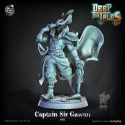 Swashbuckler Fighter Pirate Captain | 28mm, 32mm, 75mm Scale | Dungeons and Dragons 5e Miniatures | Pathfinder | Figurine | DnD Mini | Resin - Only-Games