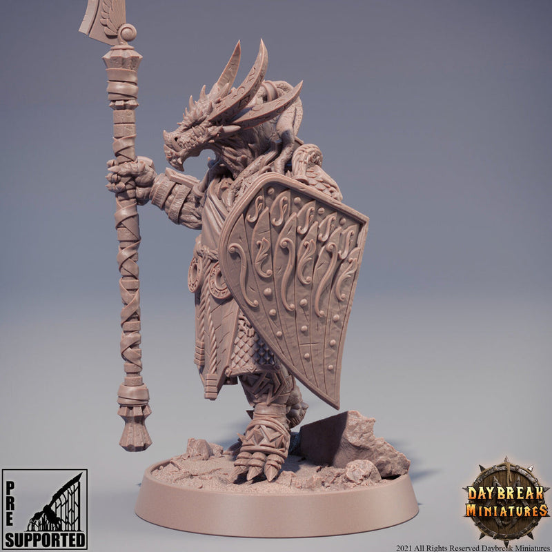 Dragonborn Fighter Spear and Shield | 28mm, 32mm, 75mm Scale Resin Miniature | Dungeons and Dragons Miniatures | Pathfinder | - Only-Games