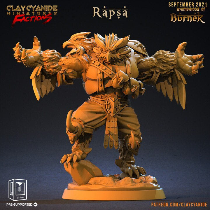 Owlfolk Druid Cleric | 28mm, 32mm,54mm, 75mm,100mm Scales | Resin | Dungeons and Dragons | Figure for painting |Pathfinder |Clay Cyanide - Only-Games