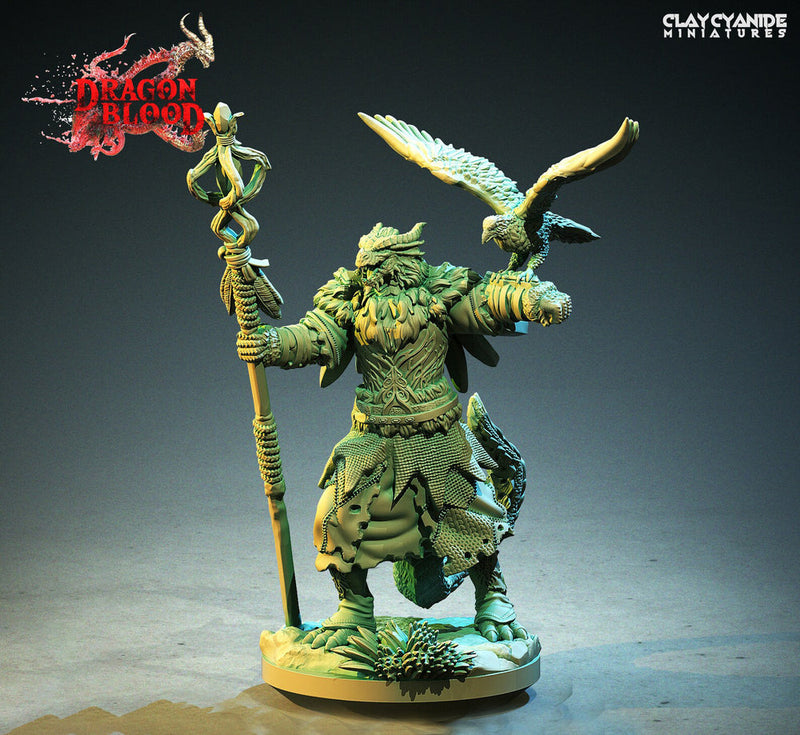 Dragonborn Druid, Wizard | 28mm, 32mm, 54mm,75mm, 100mm Scale Resin Miniature | Dungeons and Dragons | Pathfinder | - Only-Games