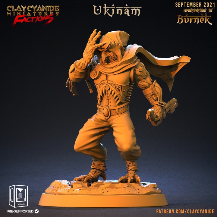 Owlfolk Fighter Ranger | 5 Sizes /Scales | Resin | Dungeons and Dragons | Figure for painting |Pathfinder - Only-Games