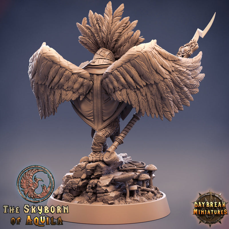 Aarakocra Wizard | 28mm, 32mm, 75mm Scale Resin Miniature | Dungeons and Dragons | Daybreak  Miniatures - Only-Games