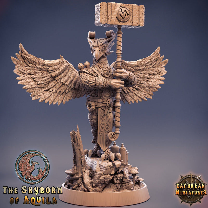 Aarakocra Cleric Paladin Fighter | 28mm, 32mm, 75mm Scale Resin Miniature | Dungeons and Dragons | Daybreak  Miniatures - Only-Games
