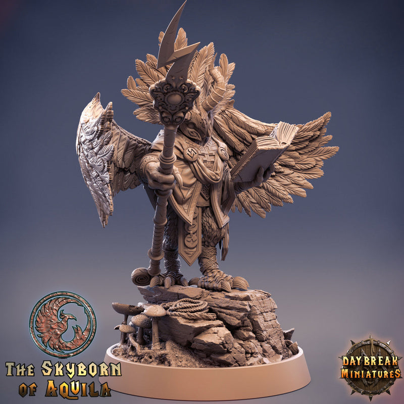 Aarakocra Wizard | 28mm, 32mm, 75mm Scale Resin Miniature | Dungeons and Dragons | Daybreak  Miniatures - Only-Games
