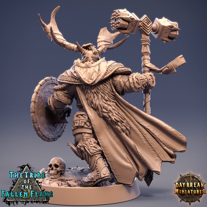 Druid Cleric Player Character | NPC Shaman | 28mm, 32mm, 75mm Scale Resin Miniature D&D 5e| Dungeons and Dragons | Daybreak  Miniatures - Only-Games