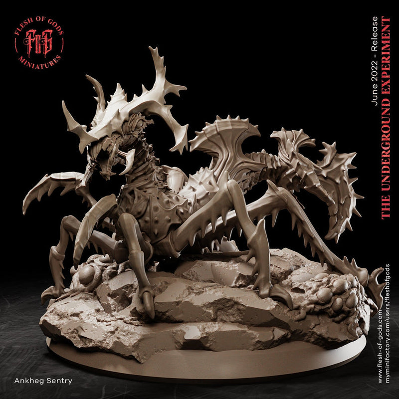 Ankheg Large Monstrosity  | 28mm, 32mm, 50mm,75mm Scales  - Monster Mini - Minis - D&D 5e - Pathfinder Figurine - Only-Games