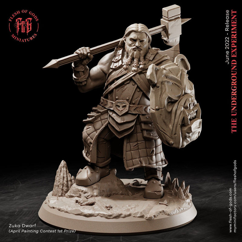 Dwarf Fighter Paladin Shield and Battle Hammer | 28mm,32mm Scale ,50mm Tall | Dungeons and Dragons | Figurine mini - D&D 5e | Flesh of Gods - Only-Games