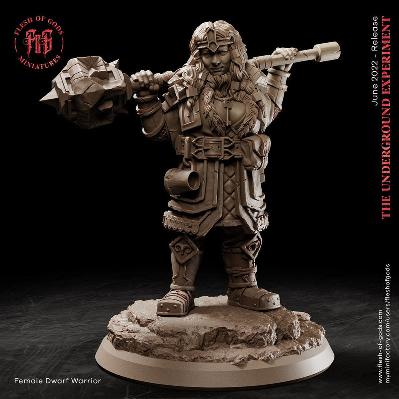 Dwarf Female Fighter Cleric | 28mm,32mm Scale ,50mm Tall | Dungeons and Dragons | Figurine mini - D&D 5e | Flesh of Gods - Only-Games