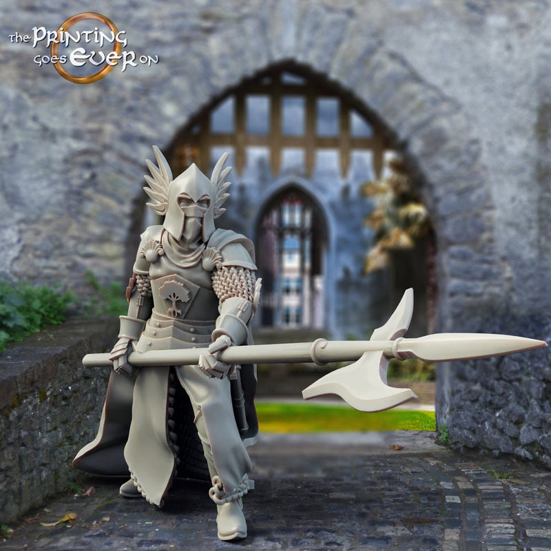 Human Paladin Knight Fighter with Polearm | 28mm, 32mm, 75mm Scales | Pathfinder Figure | DnD 5e | The Printing Goes Ever On | | - Only-Games