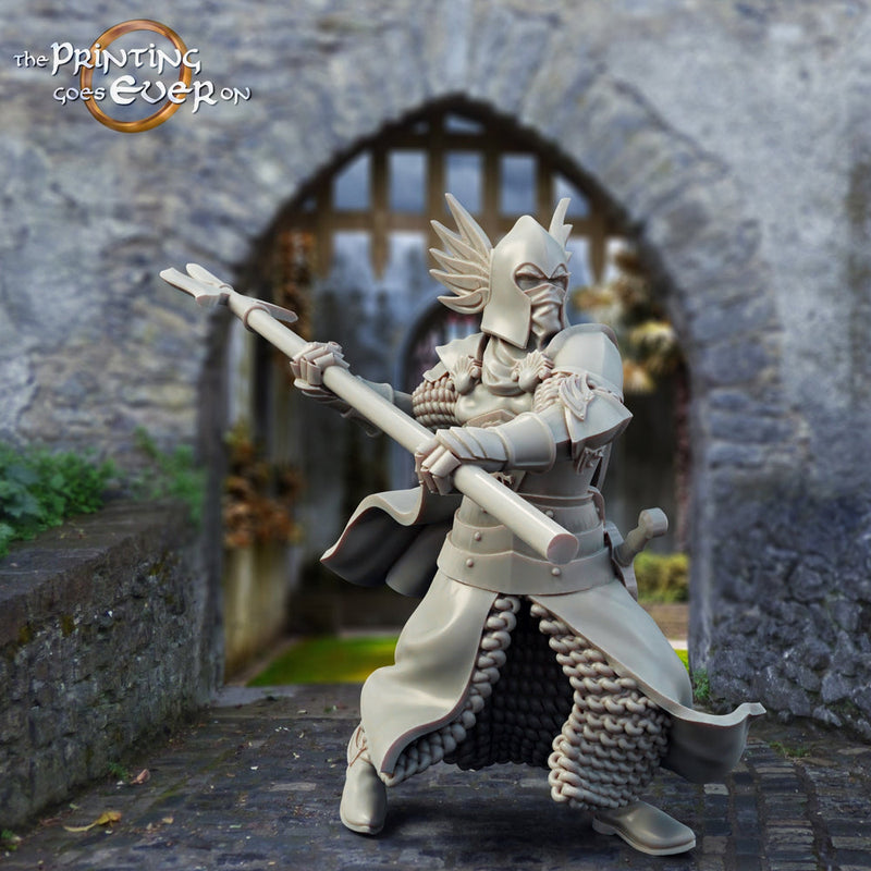 Human Paladin Knight Fighter with Polearm | 28mm, 32mm, 75mm Scales | Pathfinder Figure | DnD 5e | The Printing Goes Ever On | | - Only-Games