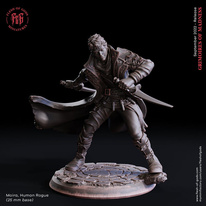 Human Rogue Thief Assassin | 28mm, 32mm, 75mm Scale Resin Miniature | Dungeons and Dragons | Flesh of Gods - Only-Games